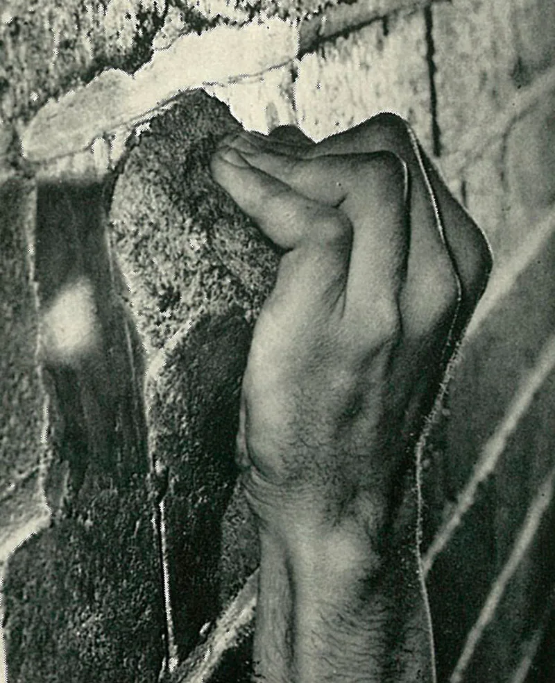 Imagen del archivo de «Historia de los muros de escalada: ¿cómo nace la modalidad indoor?».