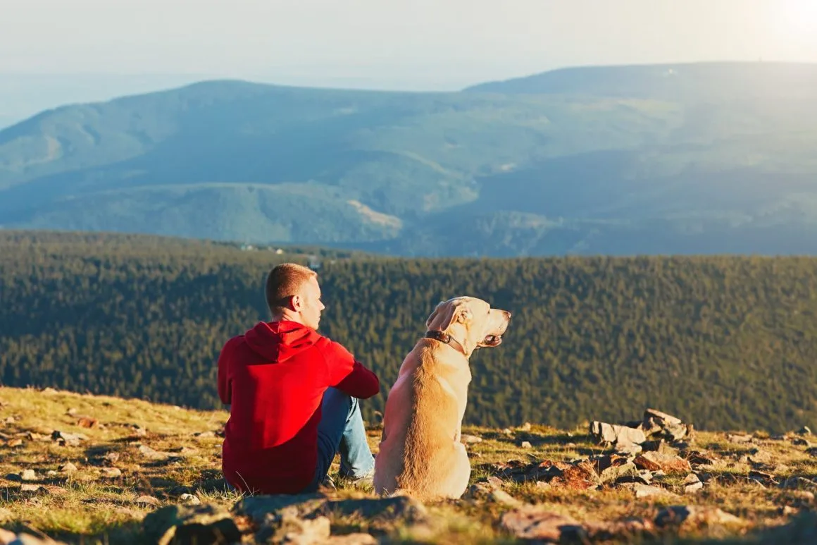 Man with dog on the trip in the mountains