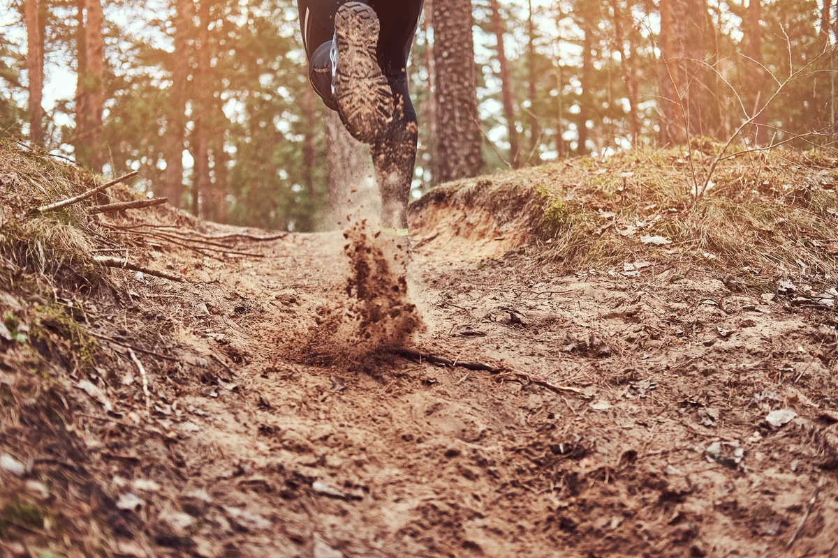 Athlete running along the forest trail. An active way of life, rear view.