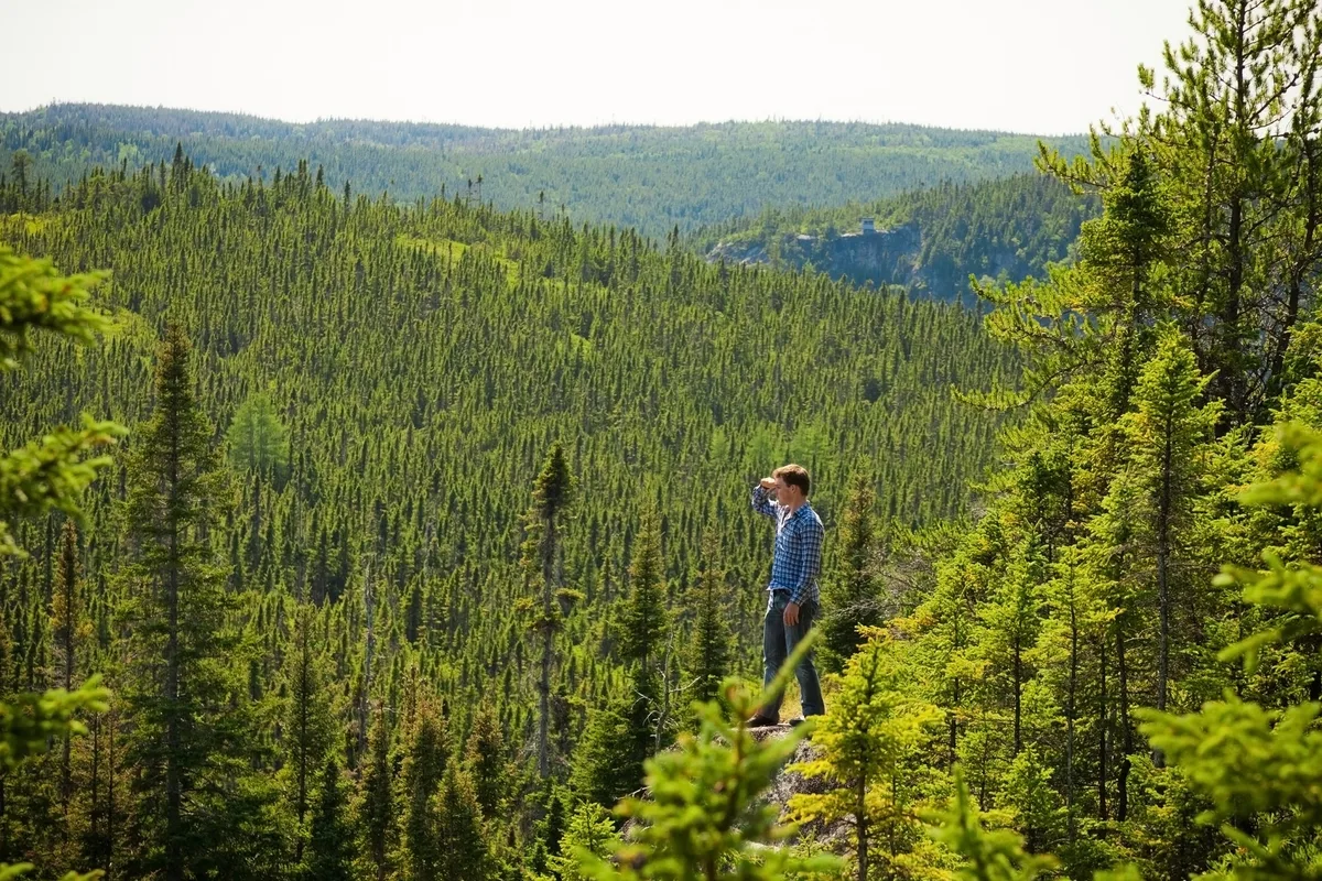 Young man on a rock in the middle of the nature