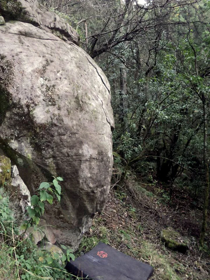 Imagen del archivo de «Anunnaki, el nuevo bloque de sello Cyrux en Las Manzanas».