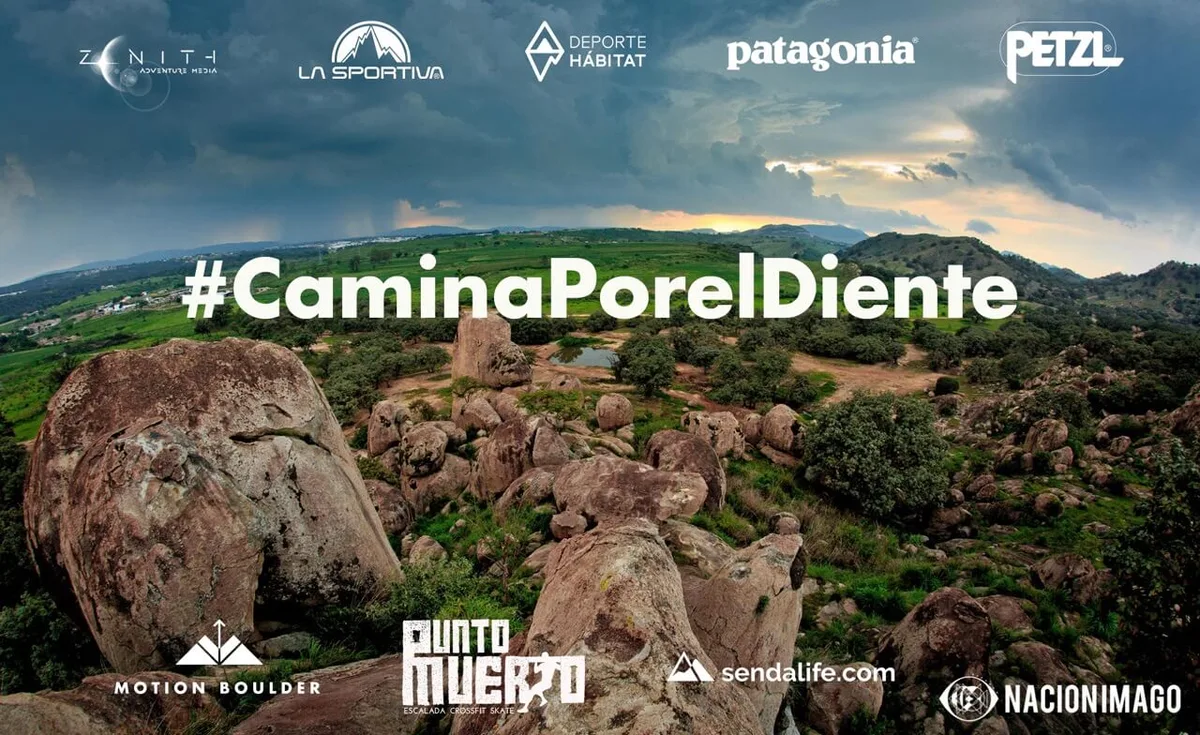 Imagen de portada de «Súmate al reto #CaminaPorElDiente y apoya su recuperación».