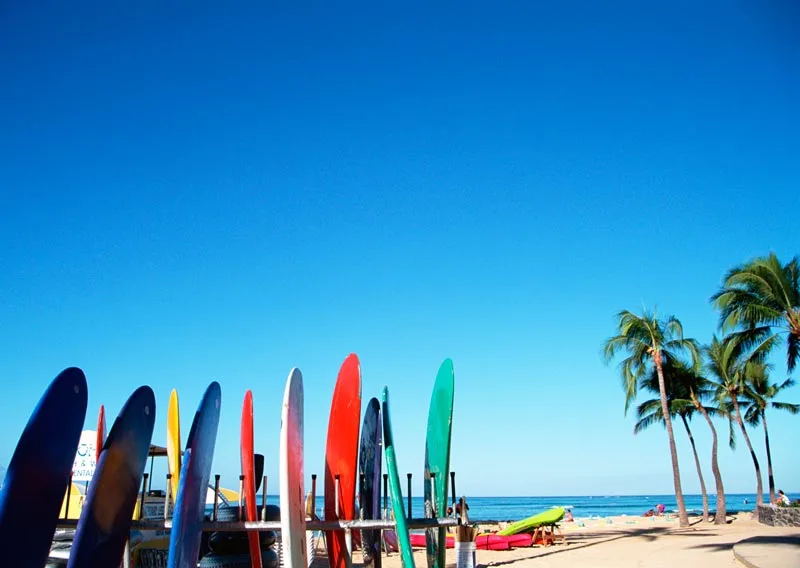 expedia-surf